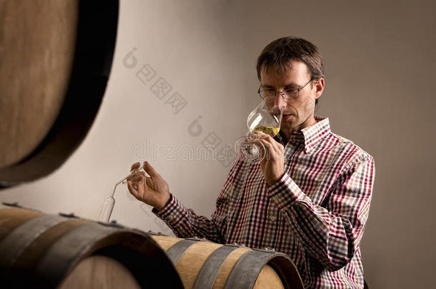 酿酒师在地窖里品酒。