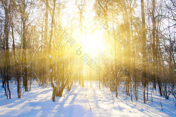 美丽的冬日日落，雪中送炭