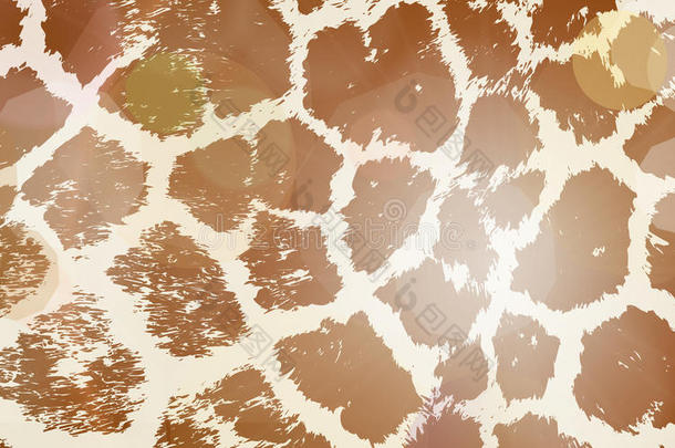 长颈鹿五颜六色的动物皮肤纹理。