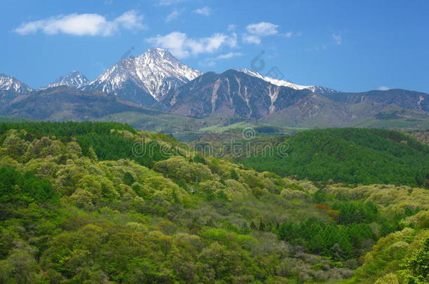 青山