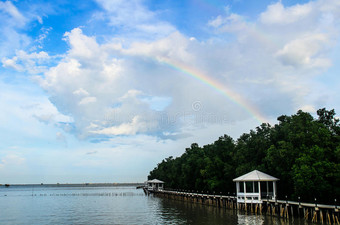 牡蛎养殖场上空的蓝天彩虹图片