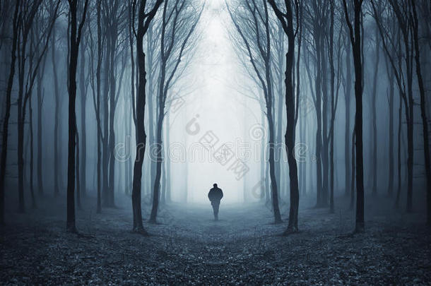 在童话般的黑暗森林中行走的人