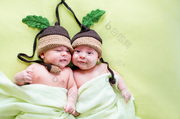 两个<strong>双胞胎兄弟</strong>戴着橡子帽的婴儿