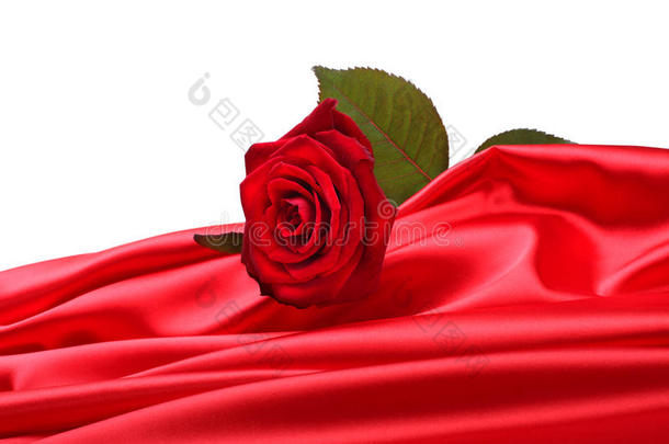 红绸玫瑰