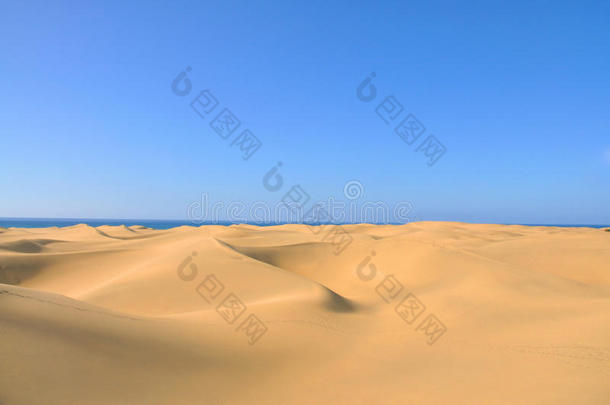 沙漠上的沙丘在格兰加那利的蓝天上