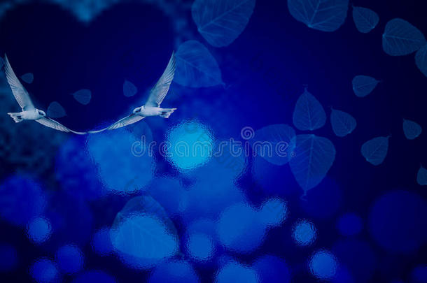 蓝色夜爱主题与爱鸟