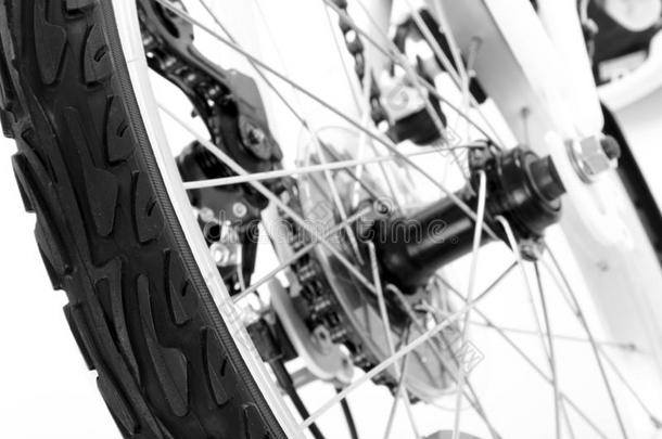 自行车轮胎车轮