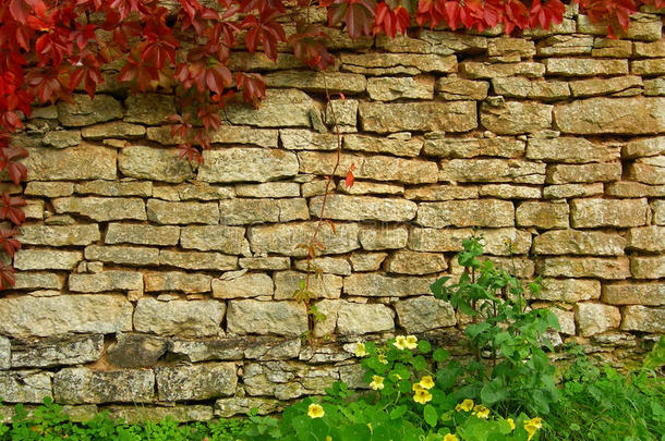 古老的、参差不齐的砖墙纹理，带有秋天的绿色植物