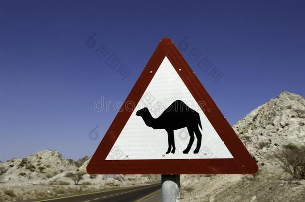 迪拜骆驼道路警示牌