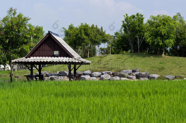 木屋和稻田。