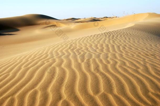 沙漠中沙子的质地