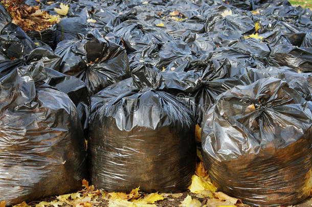 秋天公园里有许多黑色的垃圾袋