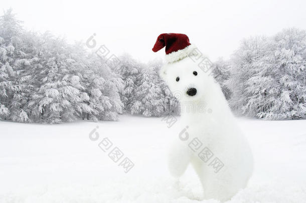 圣诞节时间。雪地里的白熊
