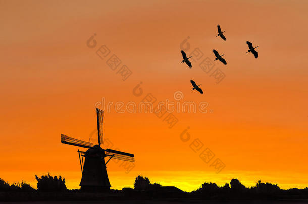 荷兰风车和鹤鸟的剪影