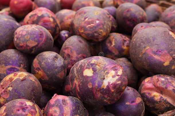 一堆<strong>紫薯</strong>