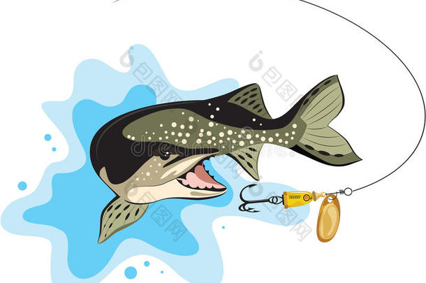 梭鱼和诱饵钓鱼，矢量图解
