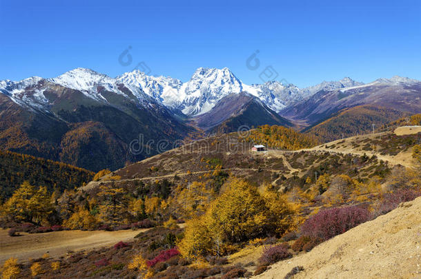 中国秋季哈巴雪山景观