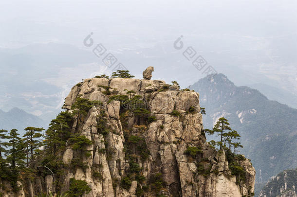 黄山天然猴石像