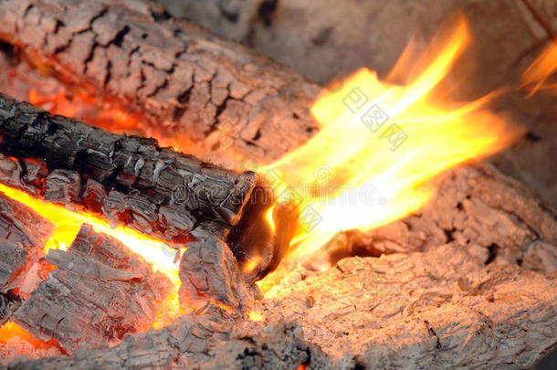 在壁炉里烧木头
