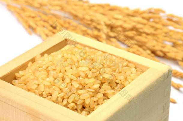 发芽糙米和稻穗