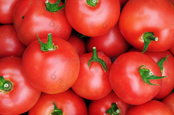 许多新鲜红西红柿的特写镜头