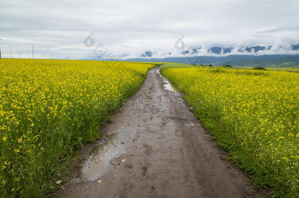 乡村公路