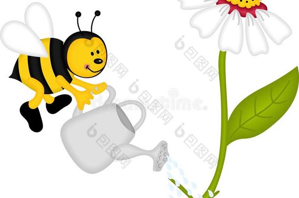 蜜蜂浇花