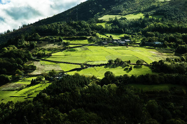 青山绿水