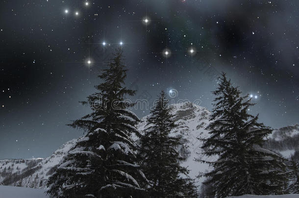 星空下白雪覆盖的冷杉