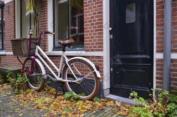 带篮子的荷兰自行车