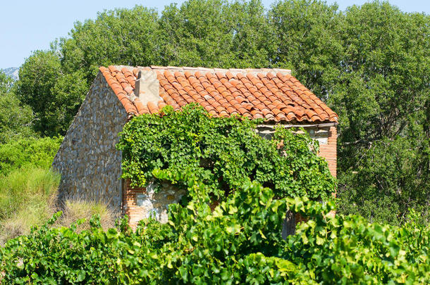 法国南部葡萄园的小房子