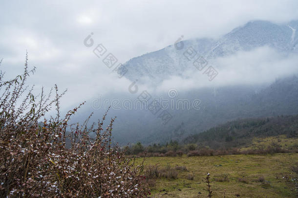 藏区山谷美景