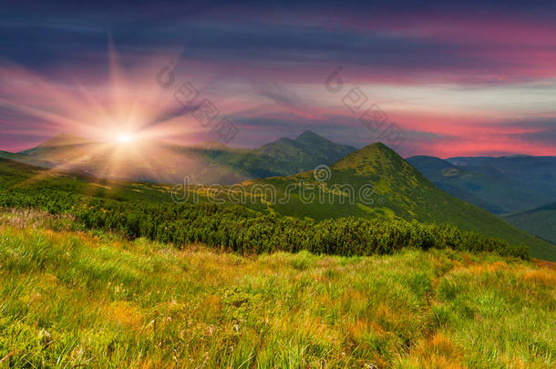 五彩缤纷的夏季景观