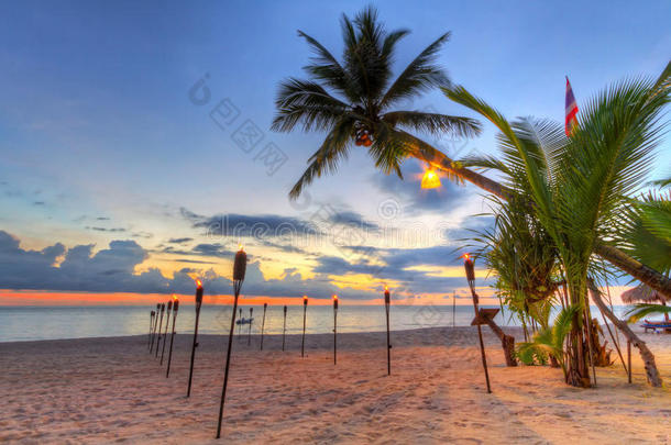 海滩上热带棕榈树下的日落