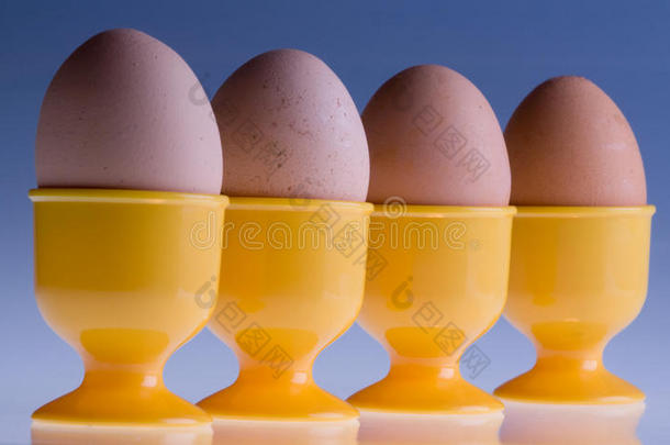一排四个鸡蛋