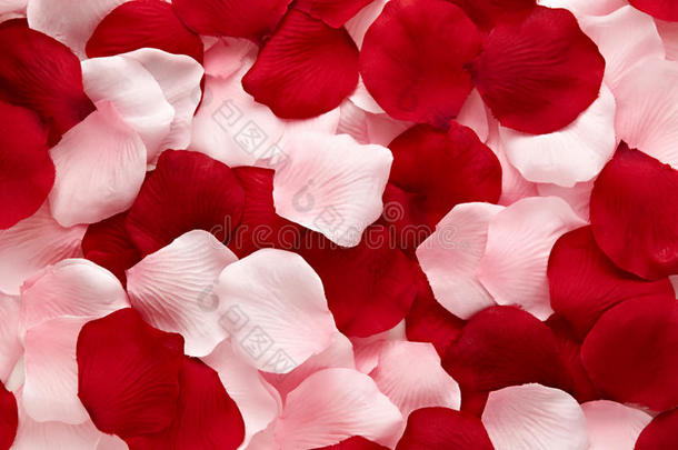 浪漫的红粉色<strong>玫瑰</strong>花瓣