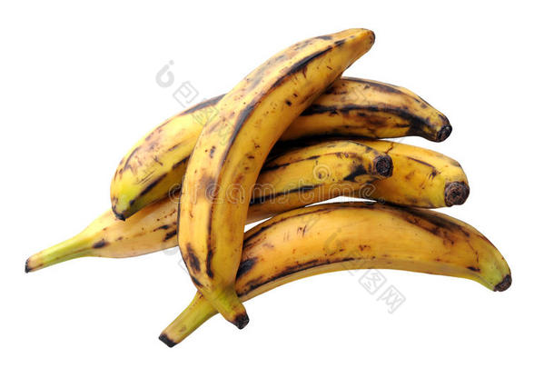 背景香蕉异国情调的水果组