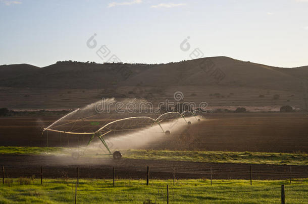 正在灌溉或浇水的农田
