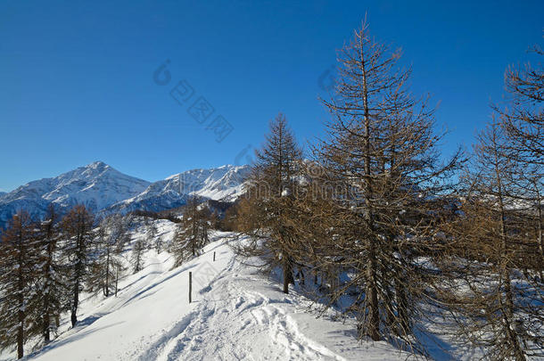 滑雪旅游探索冬季景观