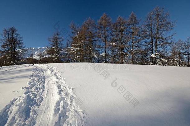 滑雪旅游探索冬季景观