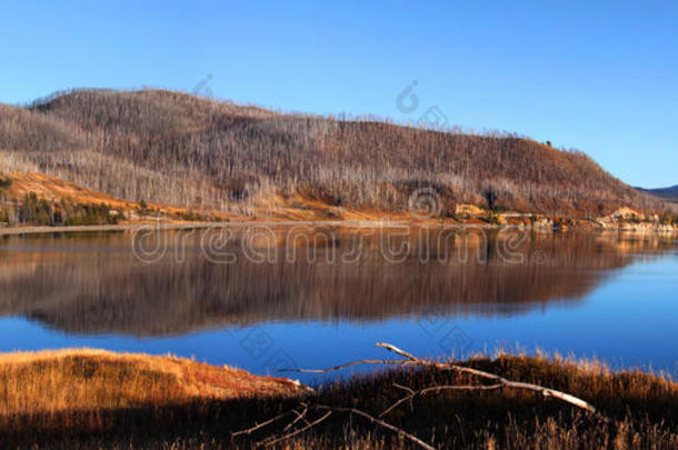 蒙大拿州的麦迪逊阿姆湖