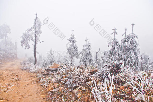 大雪过后公路上的雪