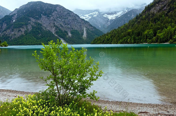 平面图夏季景观（奥地利）。