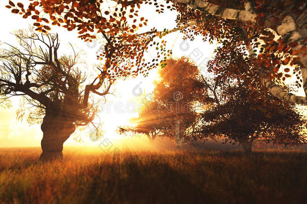 美丽的秋林自然场景3d渲染1