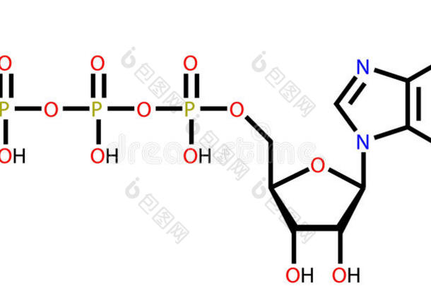三磷酸腺苷（atp）结构式
