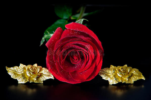 红玫瑰和金玫瑰