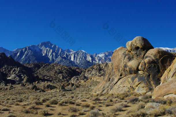 睡鬼，阿拉巴马山，惠特尼山和内华达山脉，加利福尼亚州