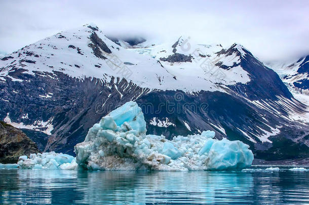 阿拉斯加冰川湾国家公园的浮冰