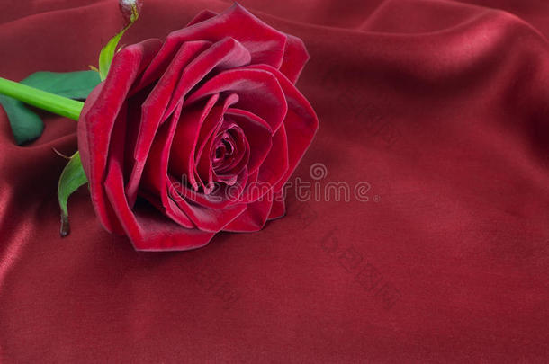 丝绸上的红玫瑰