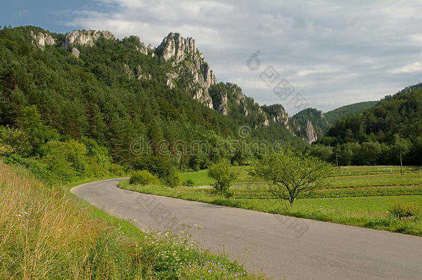 砾岩森林景观草地山